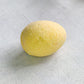 Dinosaur Egg Bath Bomb Toy Surprise
